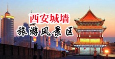 湘妺萍萍，158￥炈—天www.39576.at中国陕西-西安城墙旅游风景区